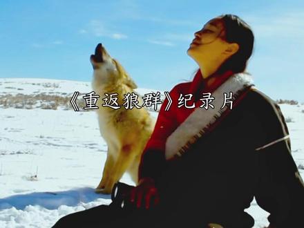 别买错了!《重返狼群》作者李微漪给出的正版购买指南! #重返狼群版本怎么选 #重返狼群