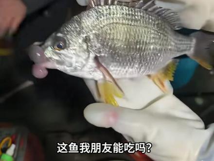 科普一些不能吃的鱼#鱼 #动物科普 #生病的鱼