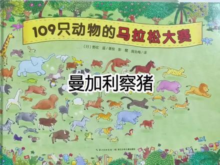 曼加利察猪(又称绵羊猪)是原产匈牙利的珍稀卷毛猪油型猪种,曾濒临灭绝,因大理石纹肉质和浓密卷毛而闻名,也是现存唯一的长毛猪。#109只动物的马拉松大赛 #绘本推荐 #点读绘本 #专注力绘本 #亲子阅读