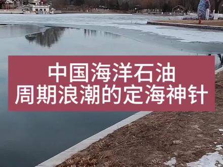 今天我们来分析一家处于行业低谷期的公司——中国海洋石油。石油行业被看作是“夕阳行业”,的确,最近的油价一直在低位徘徊,整个行业处在低谷期。而正是在这个时候,我们才更应该去分析一下:哪些公司能够挺过寒冬,为下一个春天做好准备。而中海油就是这样的一个例子,当整个行业都面临考验的时候,它的商业模式、护城河和应对风险的能力,反而能看得更清楚。#投资 #价值投资 #中国海洋石油 #石油 #商业模式