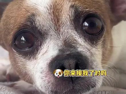 它知道它的全世界来了