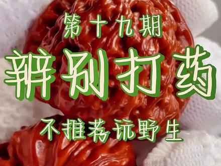 #核桃 #打药 #文玩核桃 全网最详细的白狮子核桃打药情况讲解 #科普