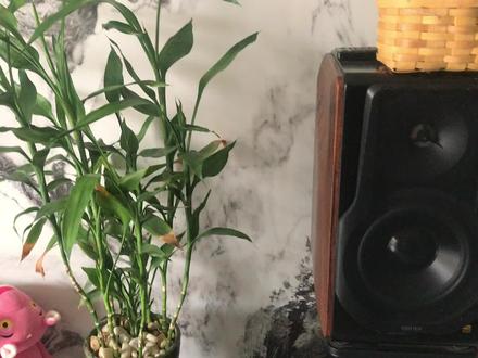 漫步者S3000,手机录的小视频