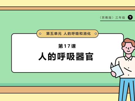 苏教版科学三年级下册5.17《人的呼吸器官》PPT