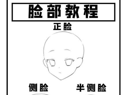 不同角度脸部教程!专治不会!##绘画教程 #画画 #脸型 #二次元