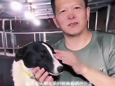 亲爱的小锅巴,其实我知道死亡从来不是终点 ,被遗忘才是,我会永远记得你,所以你就一直在,但一想到只能守着你以前的照片怀念,难免哽咽,我见证了你的成长,所以一想到再也无法与你相见,就难以释怀,你总是很乖,吃饭知道饱,从不打架,吃完饭就乖乖上自己的二楼,有人来园区你还接送大家,可这样的你却上山最积极,上山永远那么勇敢,可是今天直播二楼再也没有你的身影,第一个跳上笼子的也不是你了,一想到你就止不住泪水,我不知道你那一下痛不痛,但我知道你是一个连打针都怕的小女孩,所以我到处搜索你这样最后痛不痛苦,我强行于你产生羁绊,所以这样由我承受,其实从甩姐之后我就很少记录这些照片了,我总觉得太难受了,但我现在只想留住这些记忆,再留住一点,多一点吧,让你一直深刻,其实我还是想说认识你太高兴太幸福了,不管发生什么,还是觉得认识你真好,谢谢你呀锅巴,公主晚安啦,如果真的有投胎,下辈子请幸福吧,再幸福一点,再再幸福一点。
————仅以此纪念最乖的公主
#西北刀客锅巴 #小狗#西北刀客#猎犬#护农