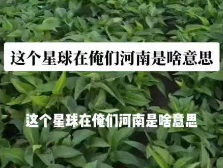 不嫌弃农村人扣个爱心