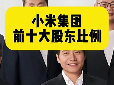 小米集团前十大股东比例