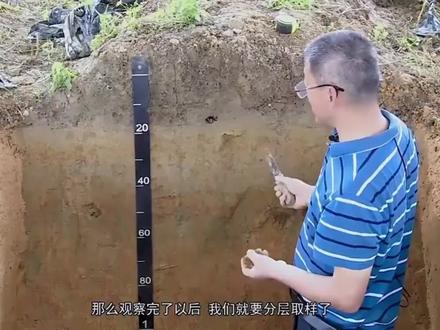 土壤剖面发生层样品采集#土壤检测 #土壤普查 #健康土壤 健康生活