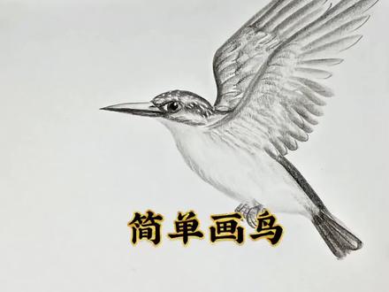 简单画鸟 你知道这小鸟叫什么名字吗?树上的小鸟从来不担心树枝突然折断,因为它相信的是直接的翅膀!你有你的专属翅膀吗?#热门 #国画艺术 #创意简笔画 #画画 #简单易学