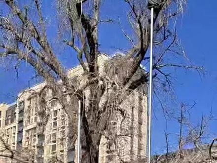 守了十六年的雹泉庙 #创作灵感 #临沂雹泉庙 #道观 #道教文化