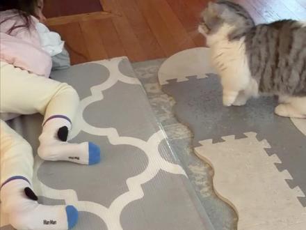 人类幼崽征服不了的猪咪 #一种很新的带娃方式 #宝妈宝爸都在用ai带娃 #百度文心助手 #文心助手带娃神器