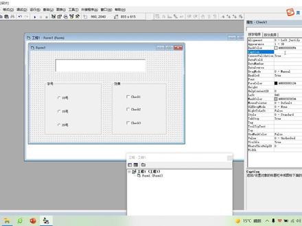 vb复选框 选项按钮 框架案例