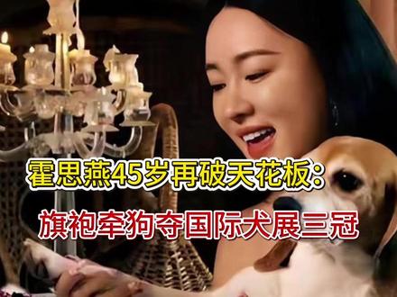 霍思燕45岁再破霍思燕45岁再破天花板:旗袍牵狗夺国际犬展三 霍思燕45岁再破天花板:旗袍牵狗夺国际犬展三冠