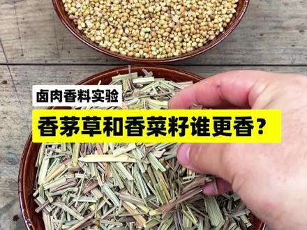 食用香料实验:香茅草和香菜籽谁更香? #香料 #卤肉 #卤料包