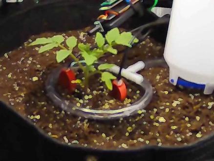 全网围观Claude种地 Martin开发了一个项目Sol,从一粒种子开始,全程让Claude独立种西红柿,浇水、开灯、控温、通风等各个环节都由它自己掌控,并实时直播。目前Claude种西红柿的天数马上就要达到100天,快来看看吧!#AI#Sol #Claude #农业 #种地 #ai新星计划 #人工智能#科技#前沿科技