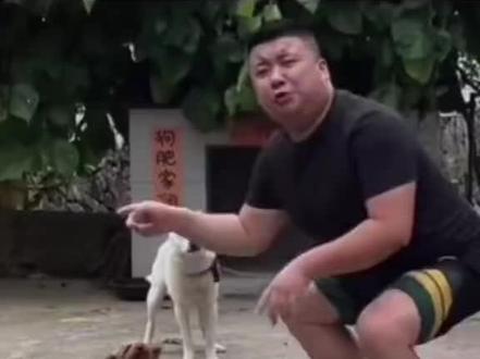 我家的狗会唱歌#看一遍笑一遍