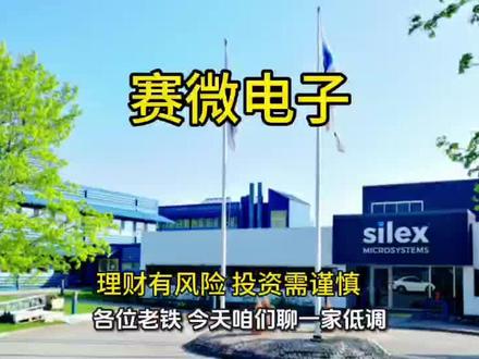 赛微电子 一家芯片代工厂,凭什么让全球科技巨头排队下单?#赛微电子#MEMS#AI算力