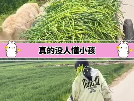 这个夏天孩子注定要被蒜薹支配!!! #蒜薹 #营养丰富 #钙铁锌 #胡萝卜素 #家长必看