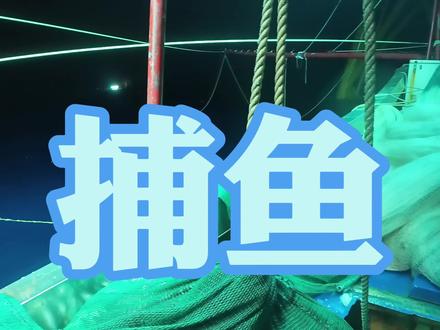 你们觉得这一晚上值多少钱?#渔民生活 #感谢大海的馈赠