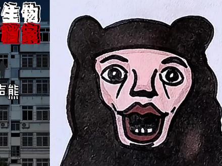 窗外可爱的小熊。 #简笔画