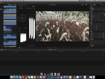 教你使用fcpx颜色遮罩#FCPX教程