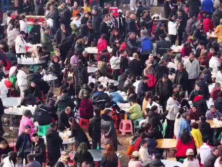 合川“呆呆妹”,两头“过年猪”,带火一座城!合川“杀猪宴”背后的流量与乡愁。 #呆呆 #杀猪宴 #刨猪汤 #合川 #乡愁