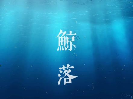 应粉丝要求放出#鲸落 完整版视频#鲸鱼 #海洋 @DOU+小助手