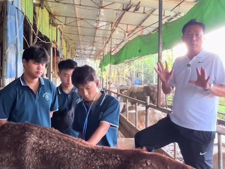 #兽医 @牧祥农村小兽医 @