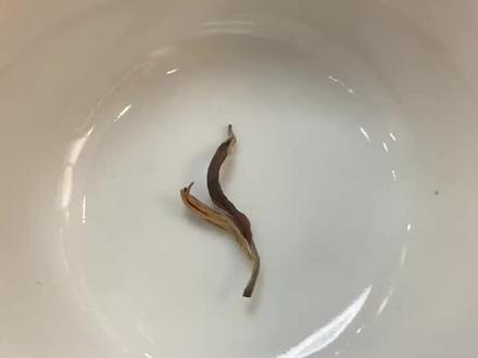 公开“掐头去尾”的完整版科学依据