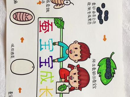 蚕宝宝成长记手抄报教程~#蚕宝宝成长记 #手抄报 #手抄报模板 #蚕的生长过程 #记录蚕宝宝成长过程