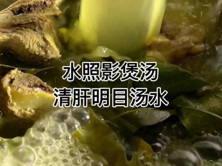 家公摘了自己种的水照影也叫山螃蟹回来煲汤,家婆做的这个汤又是我没喝过的清肝明目汤水,汤水甘甜好喝,回老家才有的美味呀#回老家才有的人间美味 #广东靓汤 #山螃蟹水照影 #广东煲汤技巧 #清肝明目降火