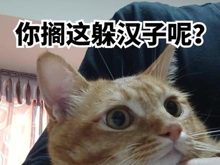 教你们一个唱高音小技巧 #萌宠出道计划 #躲汉子 #那年年少飙唱挑战 #战术拉麦挑战