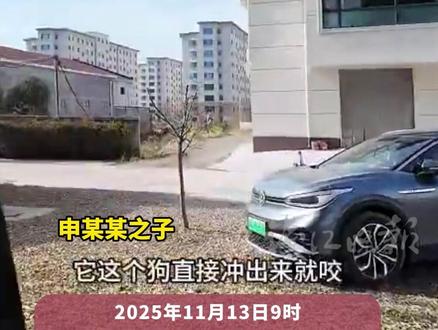 男子被狗咬伤后摔死狗,狗主人上门打砸遭“反杀” ,案件今日开庭
被告人家属:对方侵入住宅 系正当防卫
狗主人家属:一死三伤 我们是受害者(来源:百姓关注 澎湃新闻)