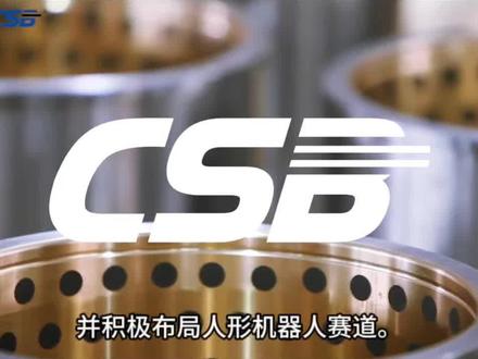 长盛轴承2026年最新基本面分析 #人形机器人 #新能源汽车 #风电 #核电 #特斯拉