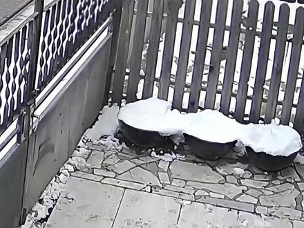 搞笑视频分享第168集#搞笑视频分享 #每日一笑 #失误合集 #倒霉瞬间#搞笑