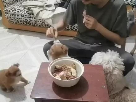 南京双胞胎认亲14天就散了:哥哥含泪宣布不回南京了#风是从哪里来