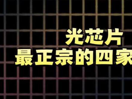 光芯片最正宗的四家公司 一分钟带你了解#芯片 #ai#ETF#基金#股票