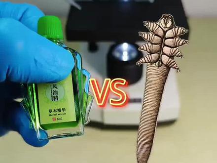 风油精能否杀死螨虫?#显微镜 #微观世界#100种杀死螨虫的方法