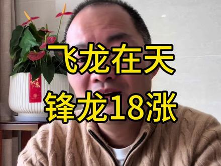 飞龙在天,锋龙18涨#股票 #财经 #股民 #老印聊股 #热点