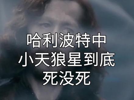 #哈利波特 小天狼星到底死没死?