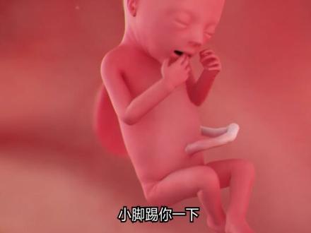 👶怀孕1-40周胎儿发育全记录|每周变化一目了然!
📅孕早期(1-12周):器官形成关键期
1-4周
🔹受精卵着床,胚胎分化为三层(内/中/外胚层)
🔹心脏开始跳动,神经管闭合(预防缺陷关键!)
5-8周
🔸胚胎像“小海马”,手指/脚趾芽体出现
🔸心脏规律跳动,耳朵/眼睛轮廓形成
9-12周
🔹胎儿成形(约7cm),外生殖器可辨性别
🔹手指分开,骨骼变硬,关节雏形显现
.
🌱孕中期(13-27周):迅速增长期
13-16周
🔸皮肤透明如“水晶宝宝”,性别特征明显
🔸胎动开始!听觉发育,能感知声音
17-20周
🔹毛发/头发生长,吞咽羊水练习呼吸
🔹体重达280g,胎脂保护皮肤
21-24周
🔸肺部产生表面活性物质(早产存活关键)
🔸皮下脂肪沉积,皮肤出现皱纹
.
🍼孕晚期(28-40周):成熟准备期
25-28周
🔹呼吸/消化系统完善,眼睛可睁开
🔹胎位逐渐固定,皮下脂肪增厚至8%
29-32周
🔸身体丰满,皮肤光滑,肺部成熟
🔸胎儿“入盆”,为分娩准备
33-36周
🔹头发/指甲明显,消化系统含胎粪
🔹体重约2500g,免疫物质通过胎盘传递
37-40周
🔸发育完全!体重3000-3400g,身长50cm
🔸皮肤粉嫩,指甲过指尖,随时等待见面~
.
🌟温馨提示
✅每周发育有个体差异,产检B超更准确!
✅孕晚期数胎动:每天3次,每次1小时≥3次
✅最后2周别焦虑,宝宝可能在“打包行李”哦~
.
💌准妈妈们收藏备用,一起期待天使降临吧!💫
#胎儿发育 #孕期知识 #怀孕日记 #生命奇迹 #一个身体两个心跳