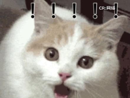 MC大佬:忙不完,根本忙不完,成香饽饽了 #游戏 #文旅 #万万没想到 #我的世界