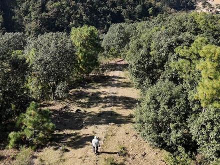 富民天马山 | 徒步攻略
漫步林中栈道+ V形绝望坡天梯
#昆明徒步 #昆明爬山 #昆明周边小众隐秘美景 #富民天马山 #户外徒步