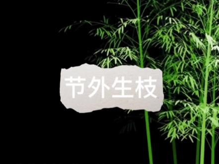 #中视频伙伴计划
节外生枝
一起学习国学精粹#传统文化 #弘扬国学经典文化