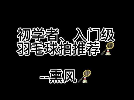 颜值高好上手的入门级羽毛球拍#羽毛球 #羽毛球装备 #一起打羽毛球