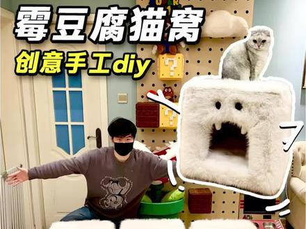 diy霉豆腐猫窝!还是换鞋凳哦~ #手工diy #猫窝#霉豆腐 #铲屎官的乐趣 #宝藏生活家企划
