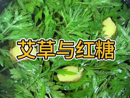 艾草,红糖,生姜,#植物科普 #涨知识 #内容启发搜索