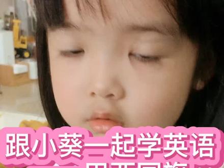 #少儿英语 #学英语 #英语启蒙 #亲子英语 巴西🇧🇷国旗长这样哦~