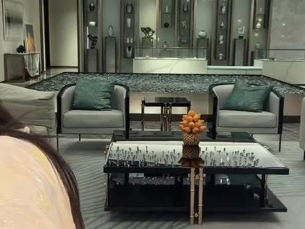 楠姐直播透露,比监控还要恶心的大事件#徐楠楠蔻辰集团创始人 #聊天 #直播录屏分享